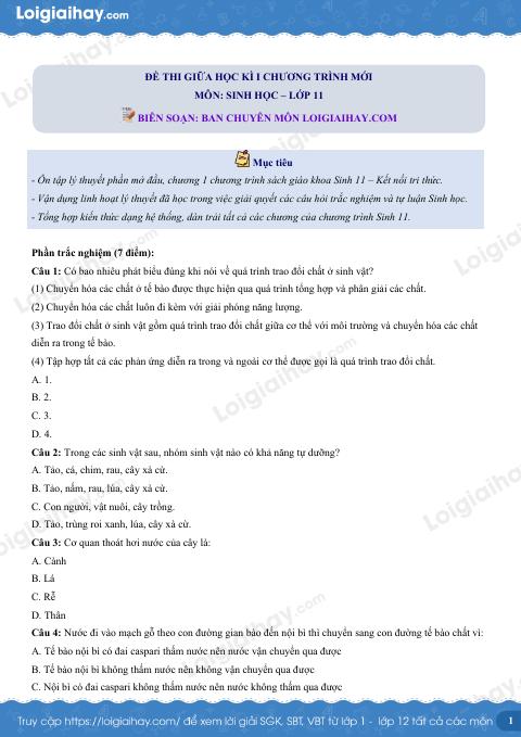 Đề thi giữa kì 1 Sinh 11 Kết nối tri thức - Đề số 2